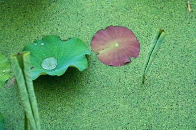 Epic喜加一：《北方之魂》《舰长》免费领取